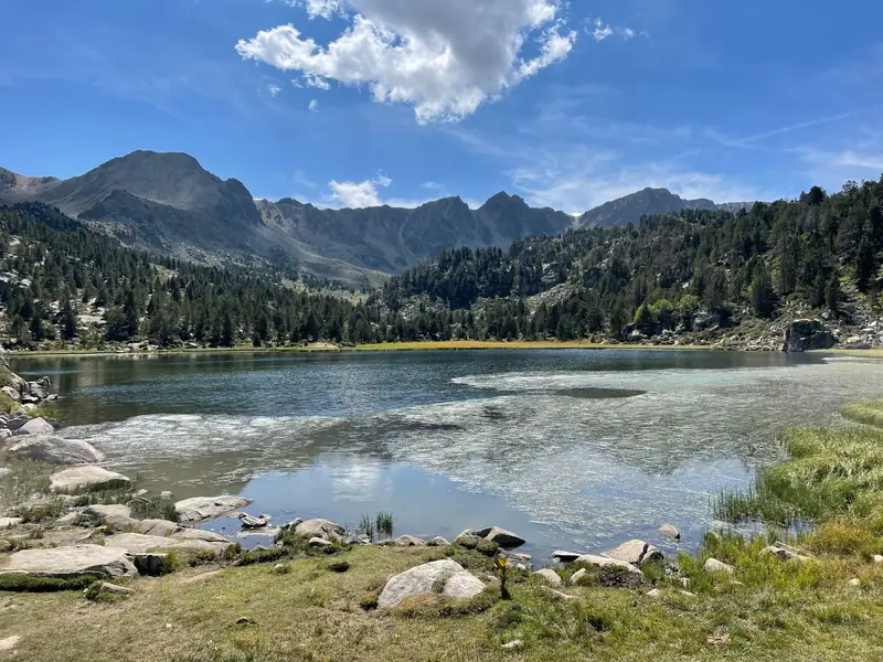 Peaceful landscape featuring Estany Primer Lake, mountains, and lush forest in Grau Roig, Andorra