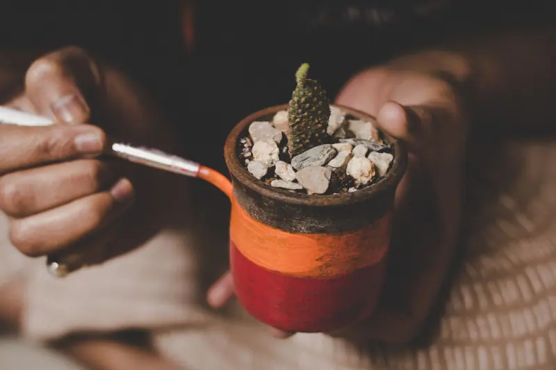 A close-up of hands painting a small colorful pot holding a miniature cactus indoors